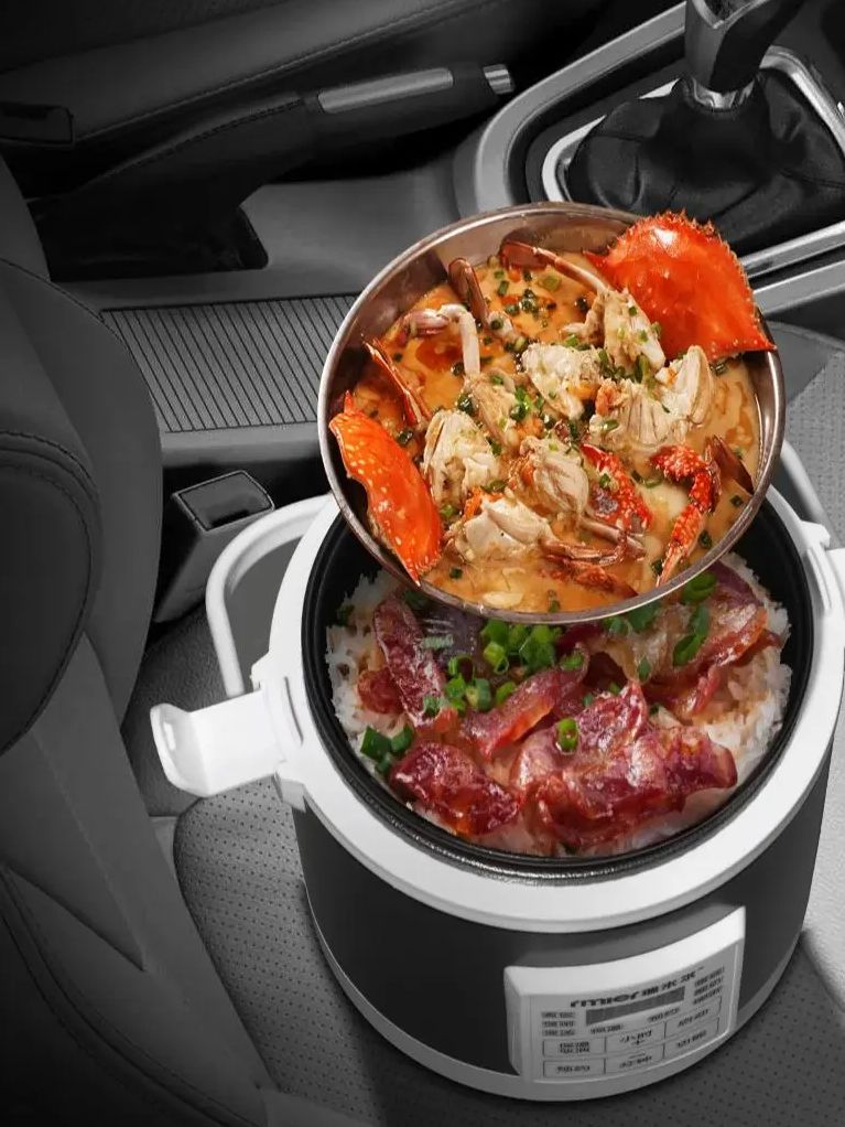 ARIER 12-24V 220V炊飯器 多機能蒸し器 フー - Camping Cooking Oil のレビューと価格
